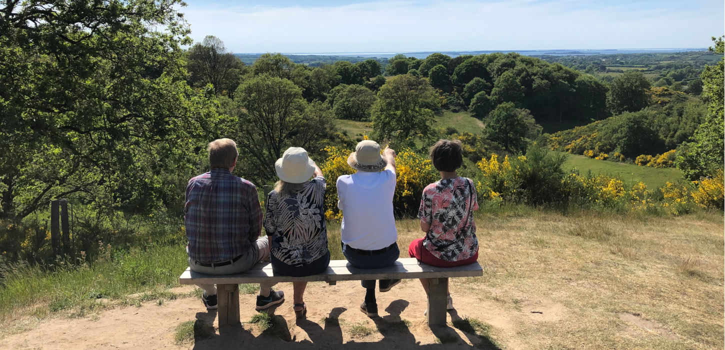 Fire venner på bænk med udsigt til Svanninge Bakker