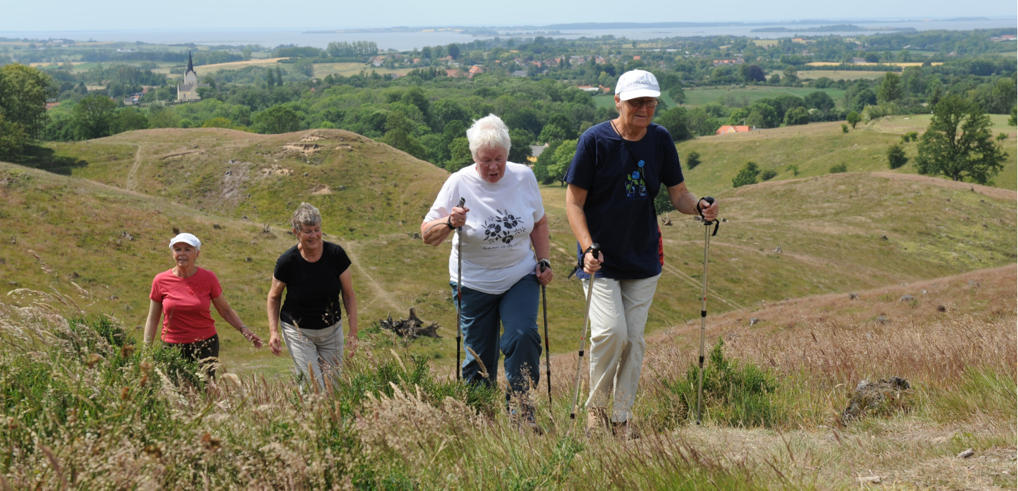 Damer på vandring i Svanninge Bakker | Øhavsstien