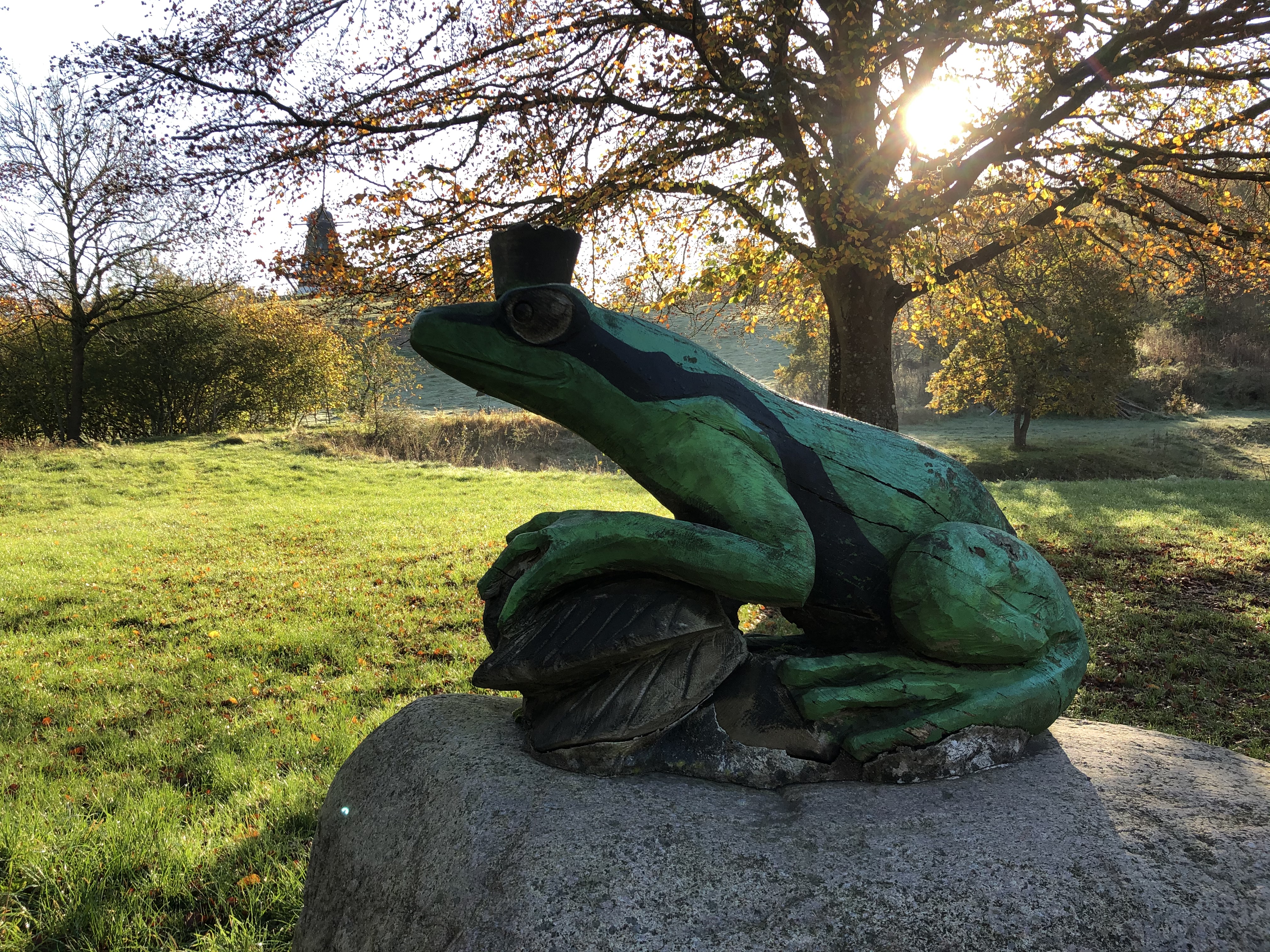 Kys frøeen for børn på Trente Mølle | ohavsstien.dk