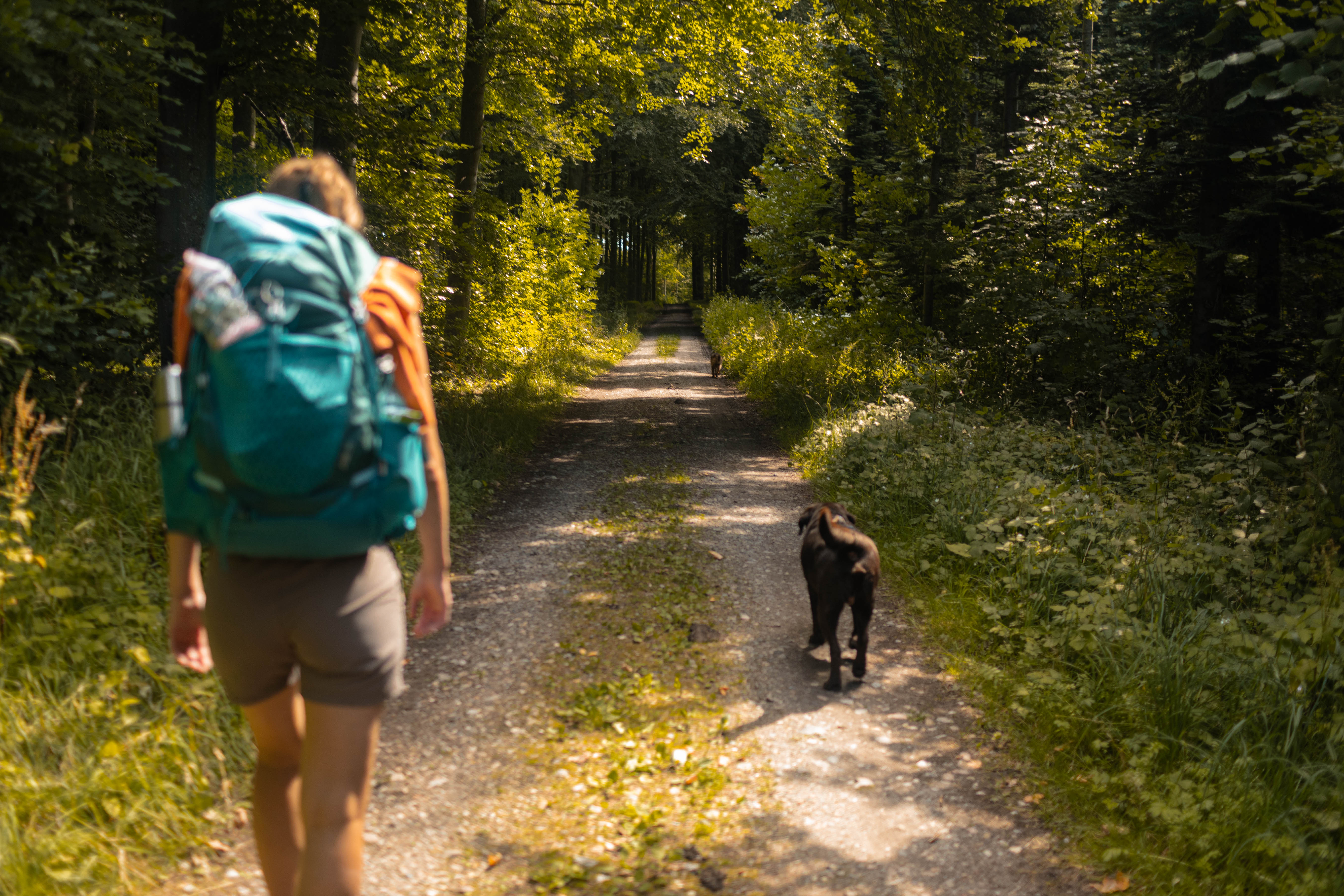 Vandrere med hund på Øhavsstien