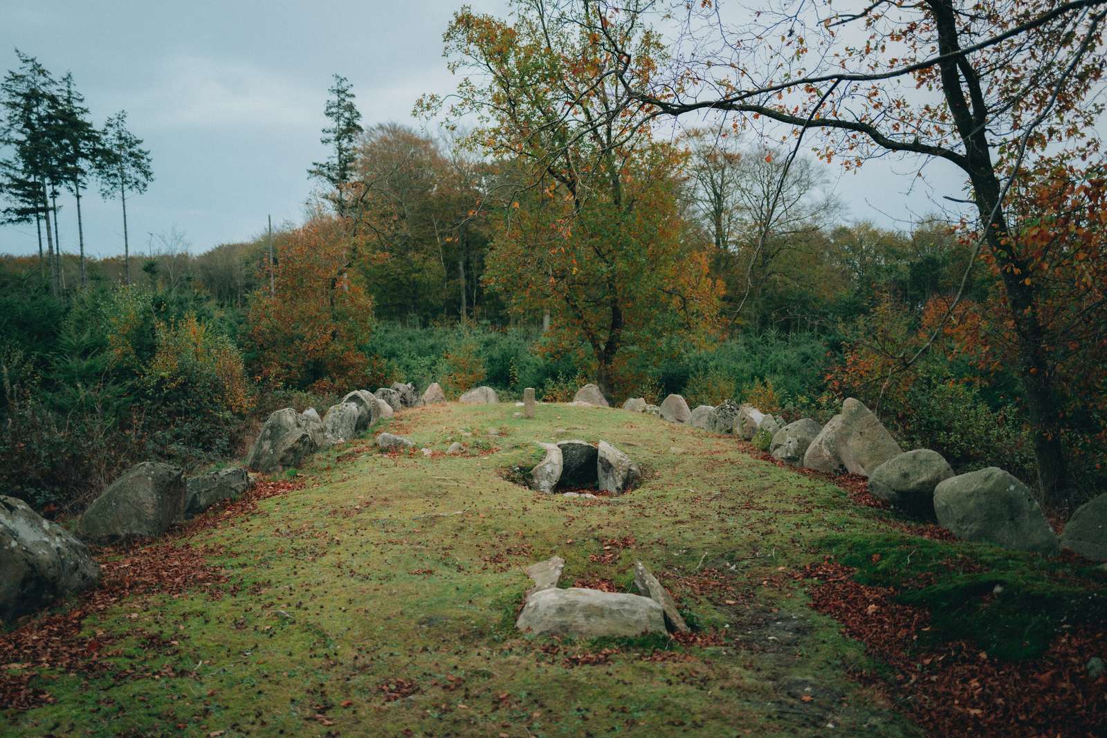 Oldtidsfund i Pipstorn Skov